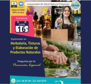 Herbolaria Tinturas y Elaboracion de Productos Naturales