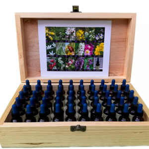 Kit de Flores de Bach